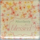 Magnet - Abundantly Blessed